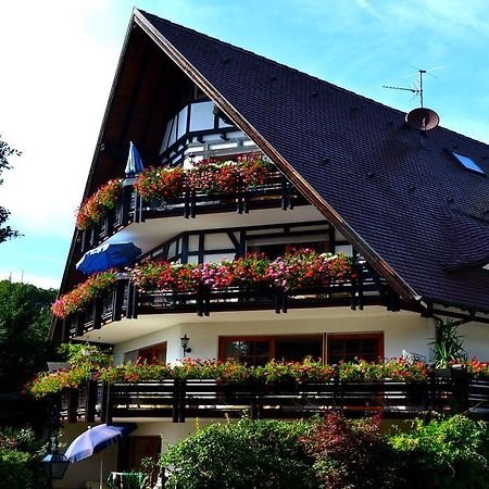 Appartement Haus Bachschwalbe à Sasbachwalden Extérieur photo
