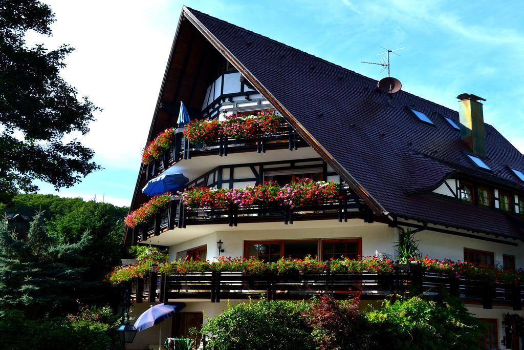 Appartement Haus Bachschwalbe à Sasbachwalden Extérieur photo