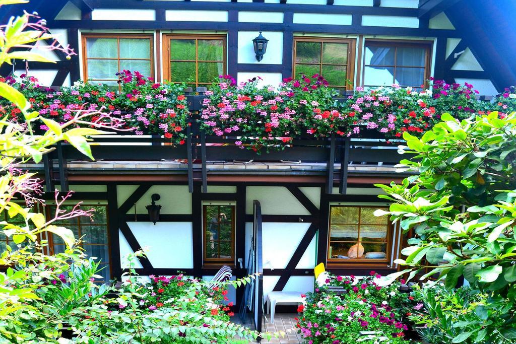 Appartement Haus Bachschwalbe à Sasbachwalden Chambre photo